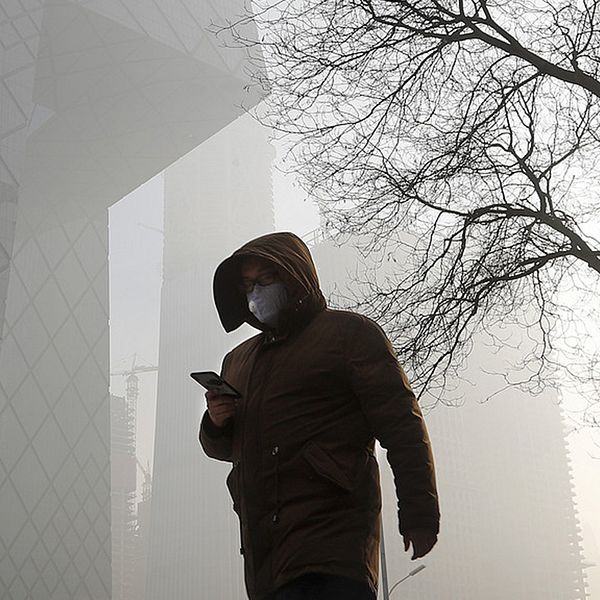 Pekingbor med munskydd