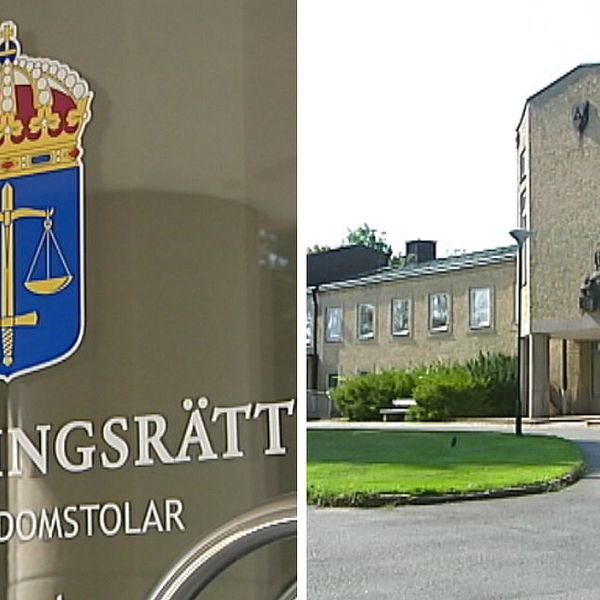 tingsrätt