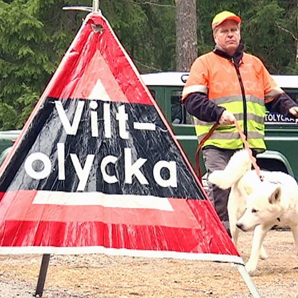 Germund Eriksson, ansvarig jägare Nationella Viltolycksrådet