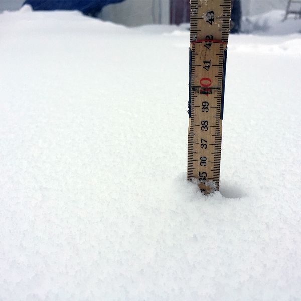 Snödjup