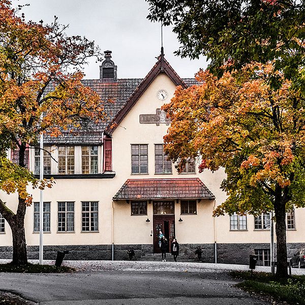 En vy av en skolbyggnad med höstfärger, omgiven av färgglada träd i rött och gult.