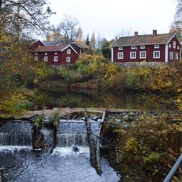 Vatten som rinner vid dammen i Järle kvarn. Bebyggelse i bakgrunden.