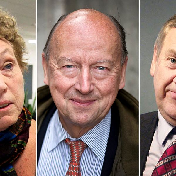 Skatteverkets förre överdirektör Helena Dyrssen, den före detta toppdiplomaten Frank Belfrage och Skatteverkets generaldirektör Ingemar Hansson är före detta regeringskollegor.