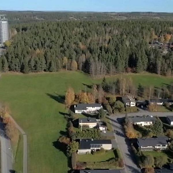 bild från luften över området vid skidstadion i Östersund, skog och hus.