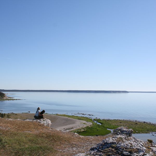 Strand, kustlinje på Gotland