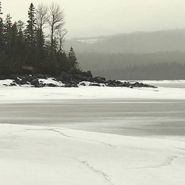 Udde vid Kallsjön