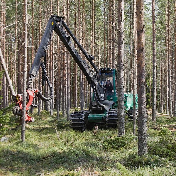 Skogsindustri, skogsmaskin, biomassa, träindustri