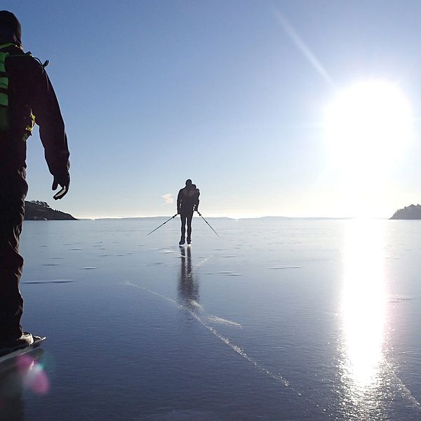 skridskoråkare