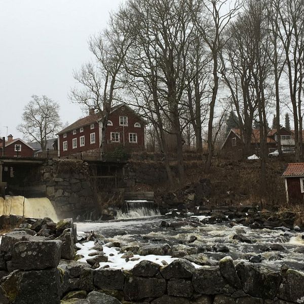 Området kring dammen i Järle.