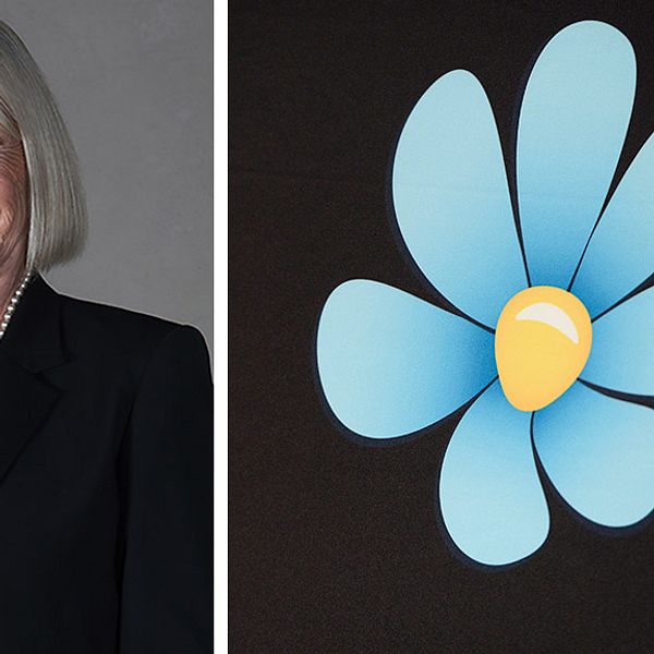 Sverigedemokraten Margareta Haglund.