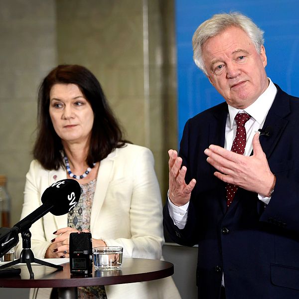 Storbritanniens brexit-minister David Davis träffade Sveriges EU-minister Ann Linde (S) i Stockholm under tisdagen.