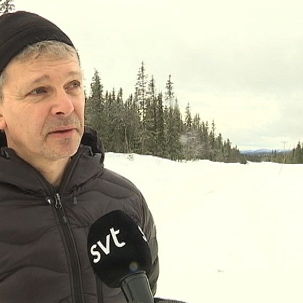 Anders Pettersson, allmänningsförvaltare för Tärna-Stensele och Sorseles allmänningsskog, skog