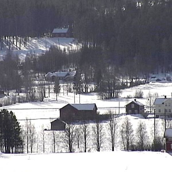 Landsbygd i Jämtland i snölandskap.