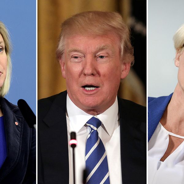 Finansminister Magdalena Andersson, USA:s president Donald Trump och Moderaternas integrationspolitiska talesperson Elisabeth Svantesson har alla använt begreppet ”fake news”.