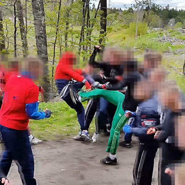 26 supportrar från två Stockholmsklubbar slåss i ett arrangerat slagsmål i Sollentuna i maj 2015.