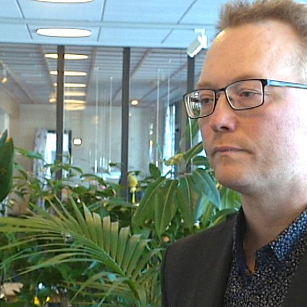 Ulf Erlandsson (SD), kommunalråd, avgår på uppmaning av partiledningen.