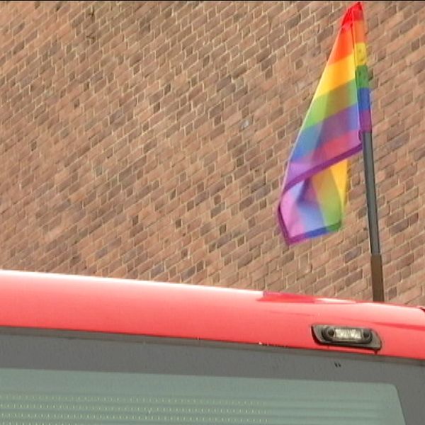 I år ska ett brev skickas ut till alla busschaufförer med tydliga regler om att prideflaggorna inte få tas ner.
