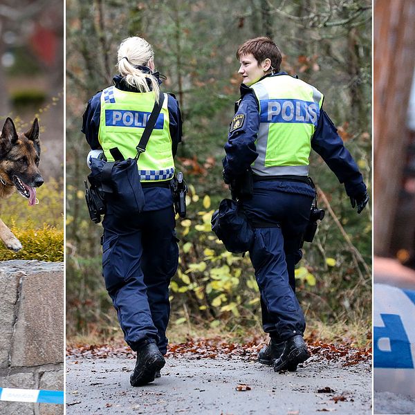 Tredelad bild: polishund, två poliser på en väg och en polis i siluett
