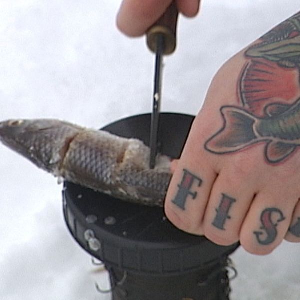 Hand med tatueringen fish på fingrarna