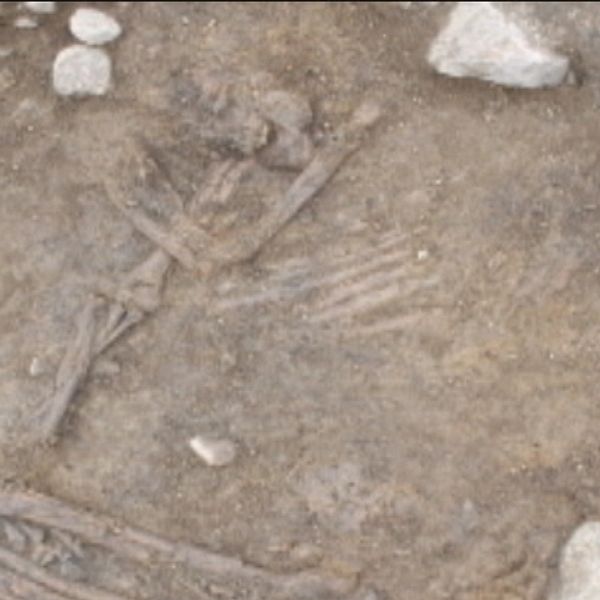 Motala utgrävning skelett grav stenåldersfynd