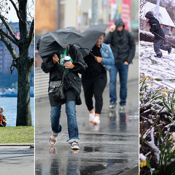 Tredelad bild: Ungdomar åker rullskridskor, personer går i blåsväder med paraply, barn som åker pulka