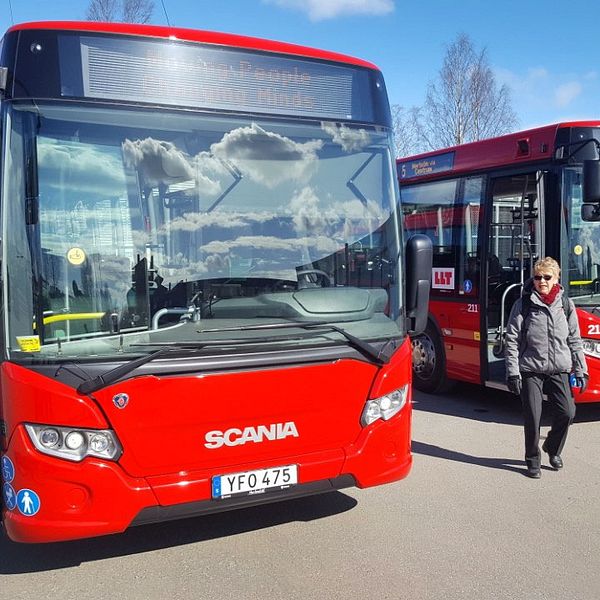 LLT, Luleå lokaltrafik