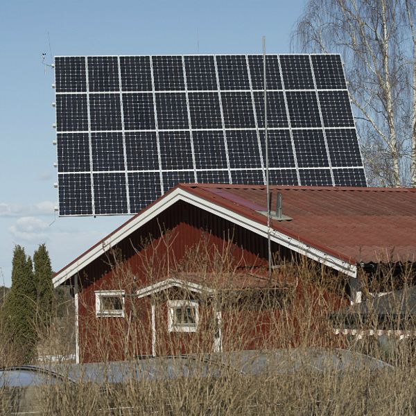 På sju år har antalet ansökningar för statligt bidrag för installation av solceller nästan tiofaldigats.