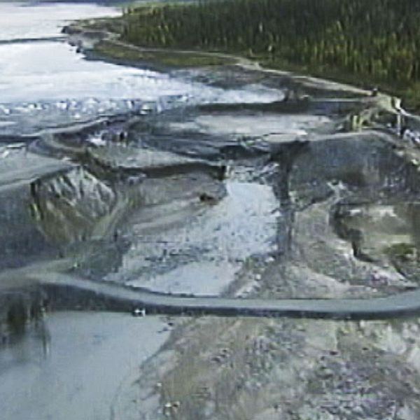Sommaren 2000 inträffade ett dammbrott i en gruvdamm vid Bolidens anläggning i Aitik i Norrbotten.