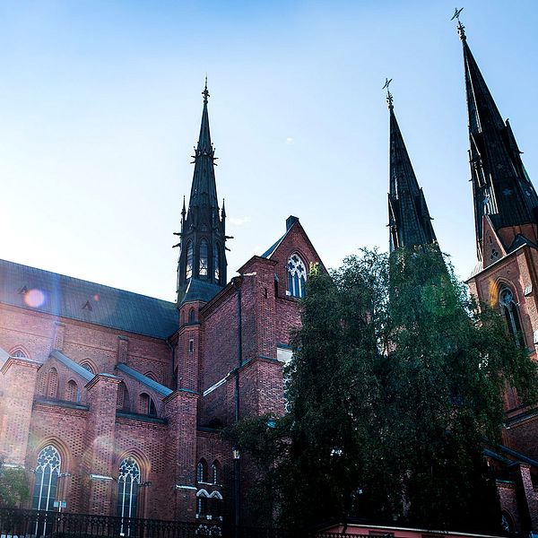 Uppsala domkyrka