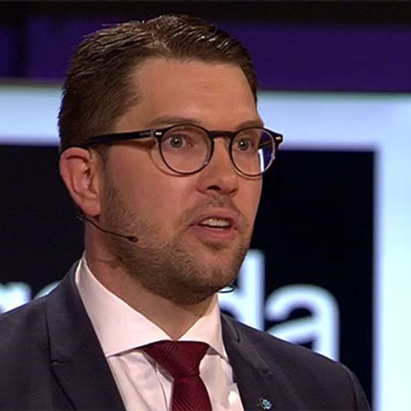 Jimmie Åkesson (SD) i partiledardebatten