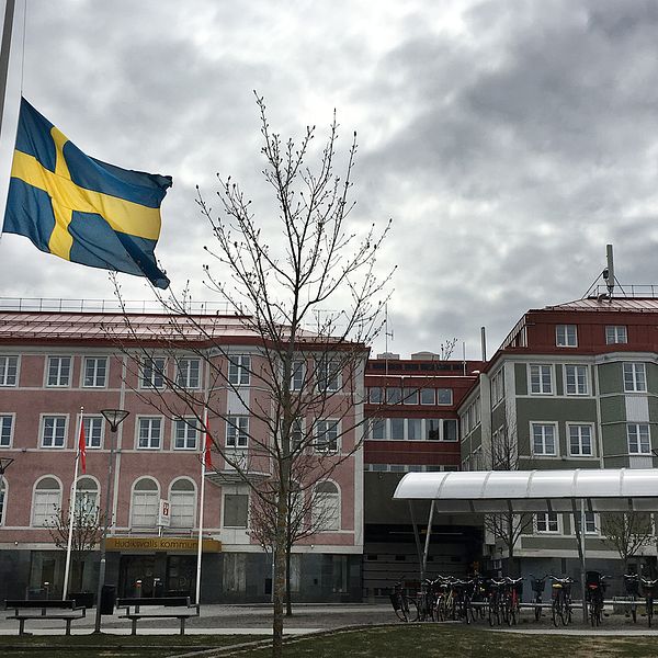 flaggstång framför stora byggnader