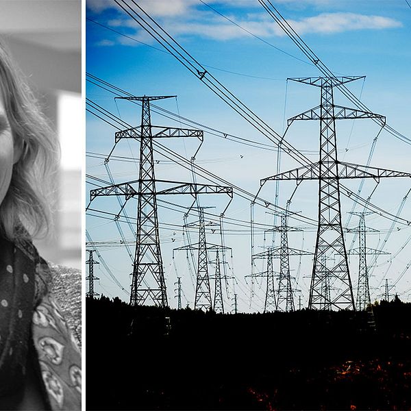 Mari-Louise Persson som är energistrateg och arbetar för Nils Holgerssongruppen vill att regeringen ser över elnätsregleringen.