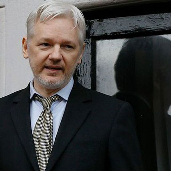 Förundersökning mot Assange läggs ner