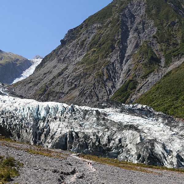 Mannen försvann i närheten av Fox Glacier i centrala Nya Zeeland.