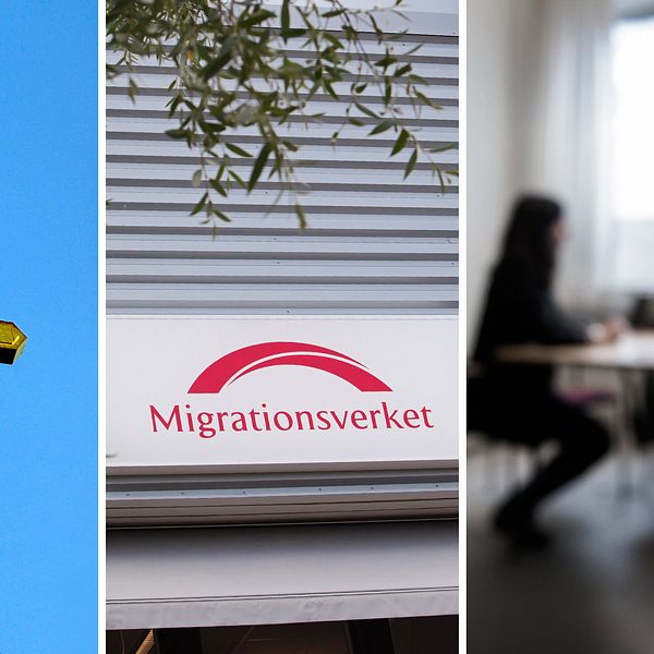 Tredelad bild med ett kors, skylt på Migrationsverket, anonym bild på två personer som sitter på ett kontor