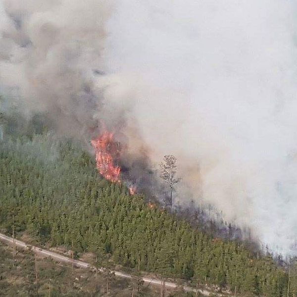 Skogsbranden runt Målerås.