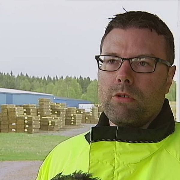 Stefan Bylander, platschef på SCAs anläggning i Stugun.