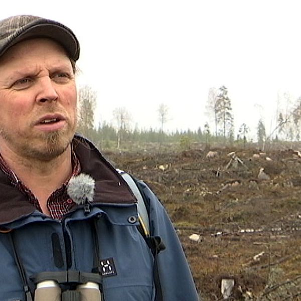 Mitt under pågående reservatsbildning avverkade mljöcertifierade Mellanskog ett område i det planerade Kallkärrskogens naturreservat i norra Värmland. Ett annat miljöcertifierat bolag ville också avverka i samma reservatsområde. Nu får skogsbranschen skarp kritik för att inte leva upp till kraven i sina miljöcertifieringar.