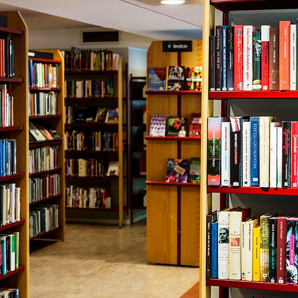 Karlstads stadsbibliotek nekar EU-migranter att låna böcker. Enligt bibliotekschefen görs detta för att de saknar en fast adress – något andra bibliotek har särskilda rutiner för.