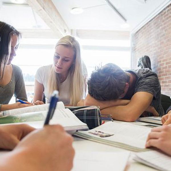 Allt fler skolor söker bidrag för att bedriva läxhjälp