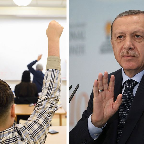 I april genomfördes en folkomröstning som med knapp majoritet tilldelade president Recep Tayyip Erdogan stort utökad makt. Han är starkt kritiserad av landets sekulära opposition.
