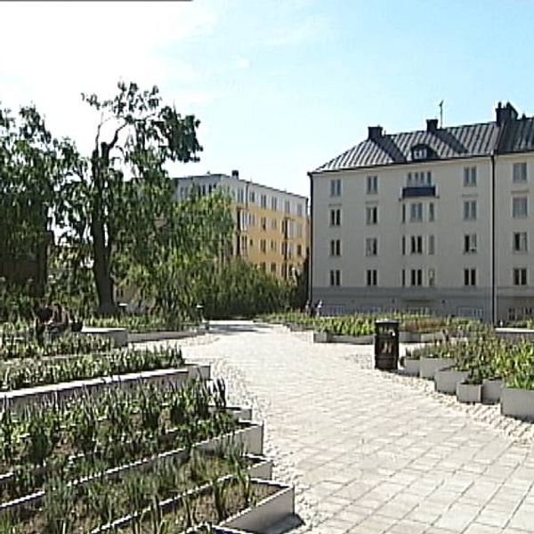 Hörsalsparken i Norrköping