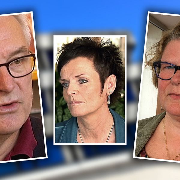Anders L Johansson, Lena Thelin, Inger Berström