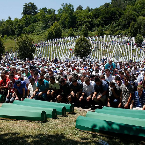 Bosniska muslimer ber vid kistorna under begravningsceremonin för några av offren för Srebrenica-massakern.