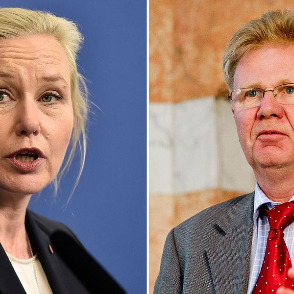 På tisdagen meddelade infrastrukturminister Anna Johansson (S) att Transportstyrelsens ordförande Rolf Annerberg valt att avgå.