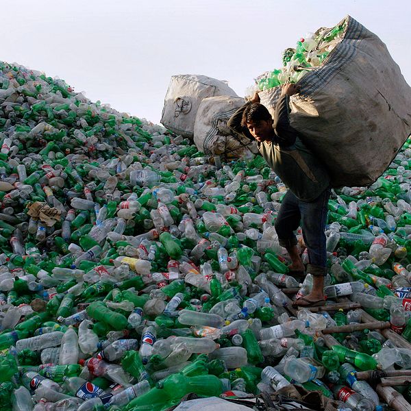 Arbetare bär plastflaskor på ett berg av flaskor vid en återvinningscentral i Lahore, Pakistan.