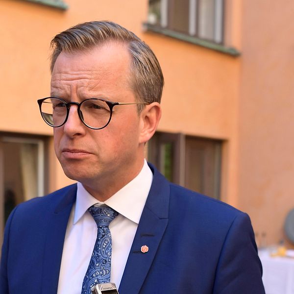 Mikael Damberg (S) menar att förslaget är ett avsteg från den svenska modellen.