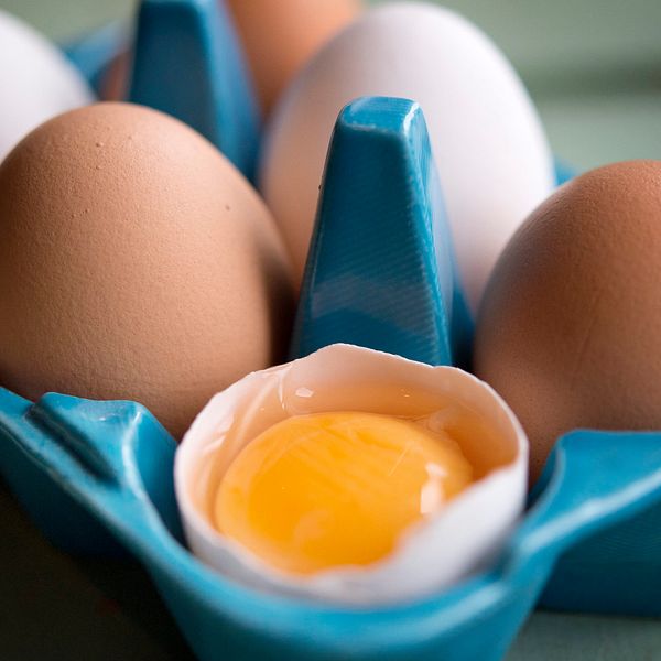 Livsmedelsverket ska analyseras svenska ägg efter giftskandalen i Nederländerna. Arkivbild.
