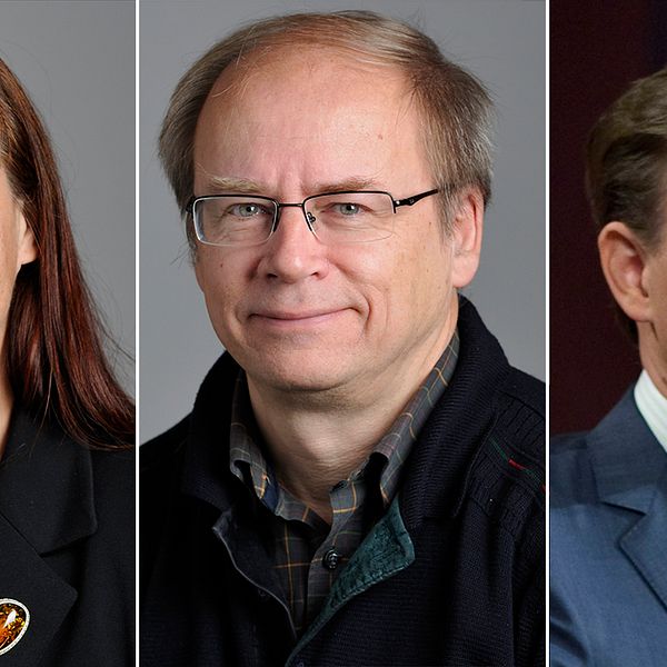 MP-politikerna Annika Lillemets, Valter Mutt och Carl Schlyter  har samtliga valt att tacka nej till att kandidera till riksdagen inför valet nästa höst.