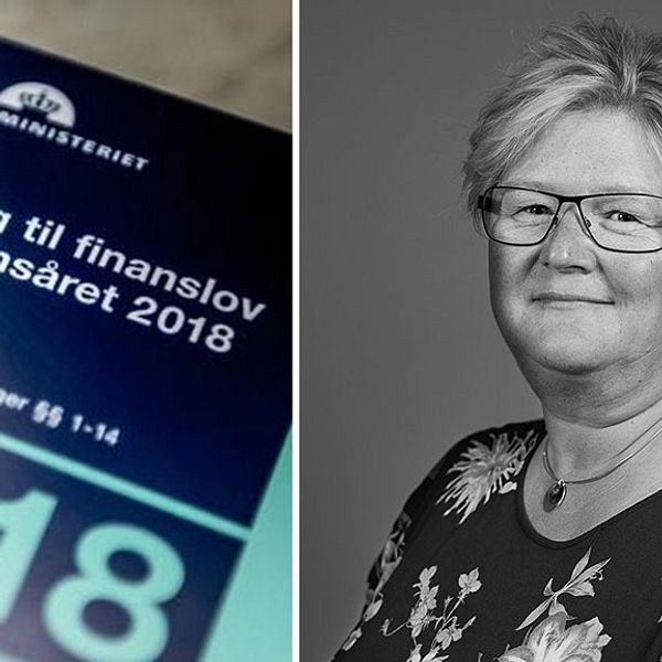 ”Vi stödjer Danmark – förslaget måste strykas”